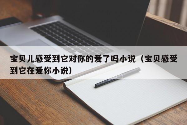 宝贝儿感受到它对你的爱了吗小说（宝贝感受到它在爱你小说）