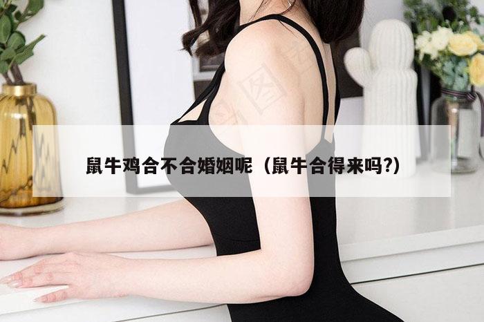 鼠牛鸡合不合婚姻呢（鼠牛合得来吗?）